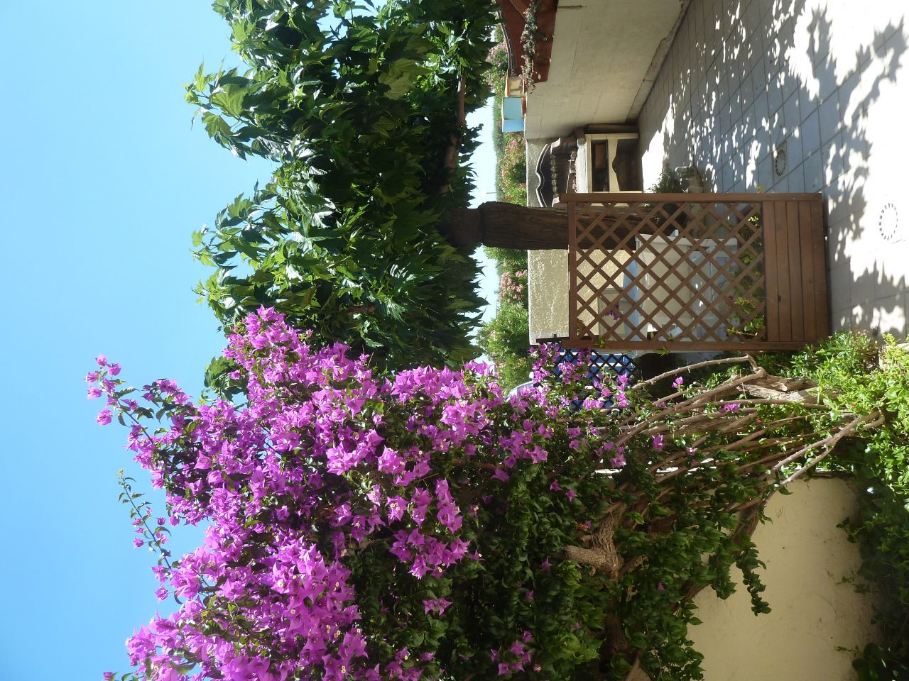 Location appartement Le Baracr�s N&deg;2366 image 6