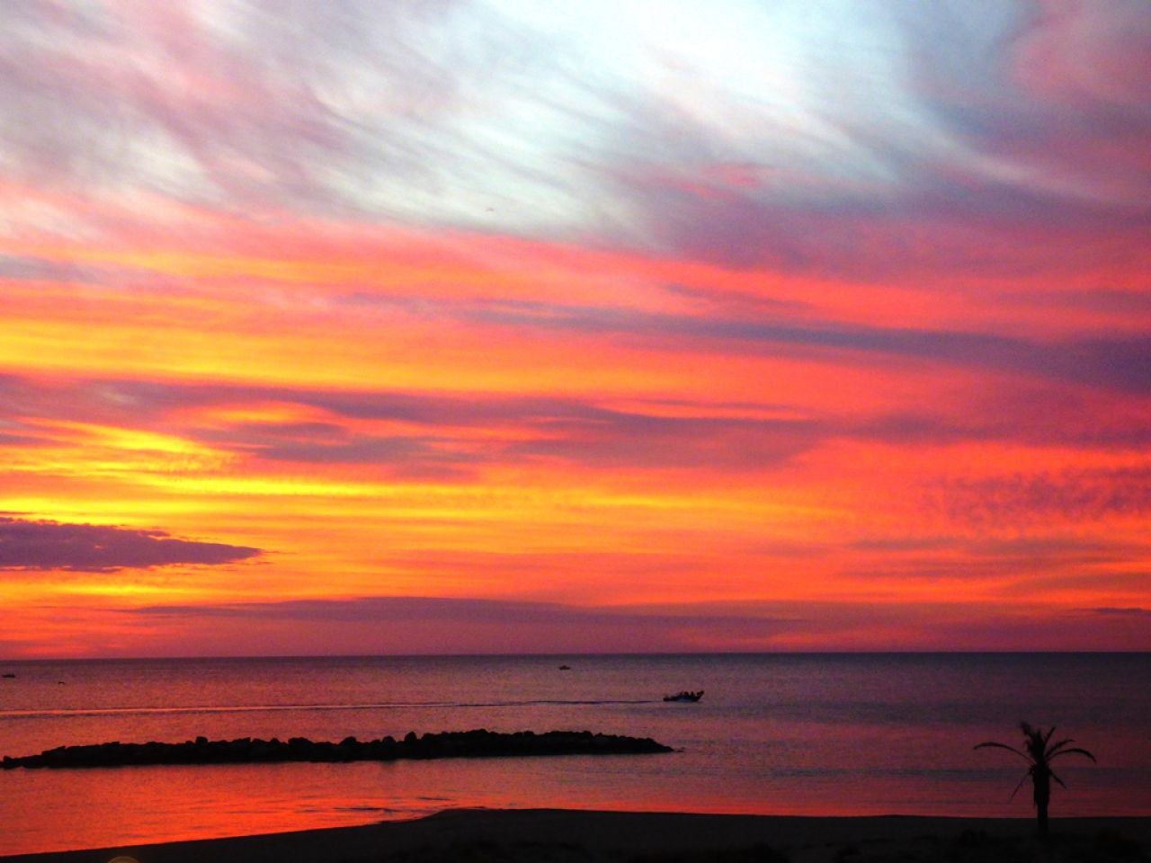 Location appartement Le Baracr�s N&deg;7985 image 1